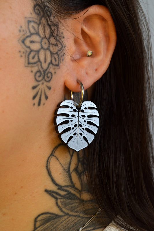 Monstera Deliciosa (Silver)