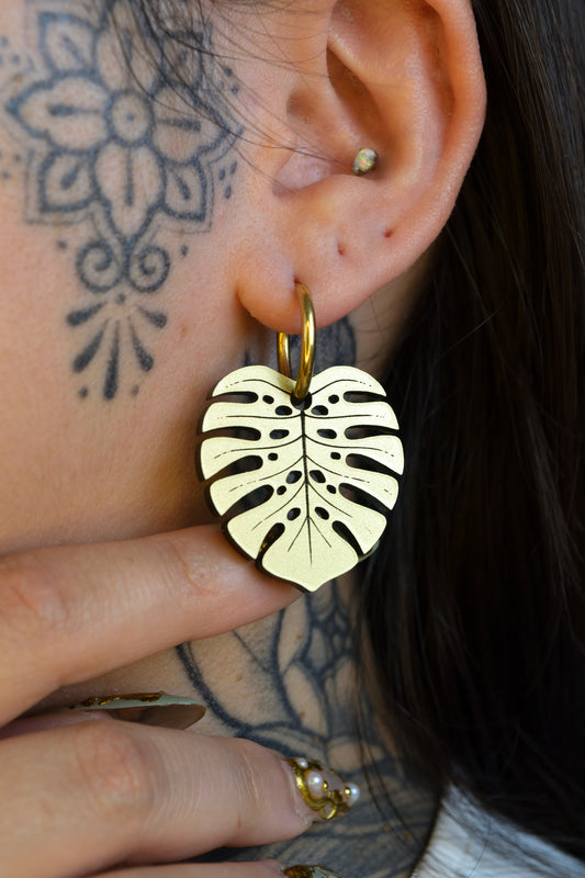 Monstera Deliciosa (Gold)