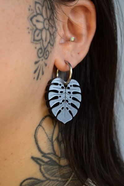 Monstera Deliciosa (Silver)