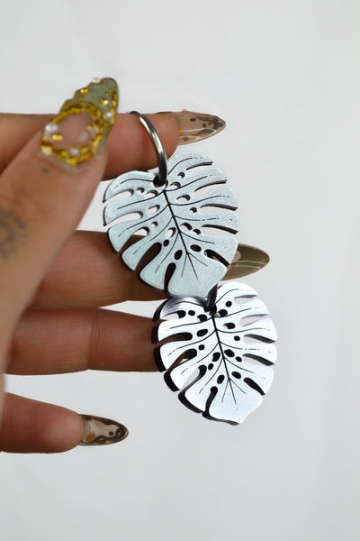 Monstera Deliciosa (Silver)