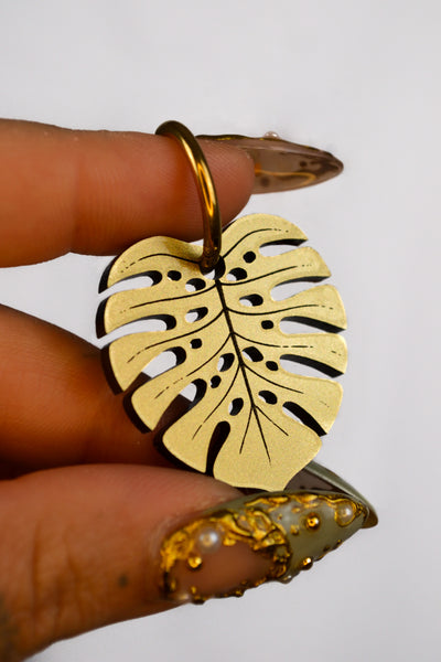 Monstera Deliciosa (Gold)