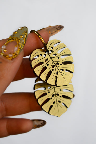 Monstera Deliciosa (Gold)