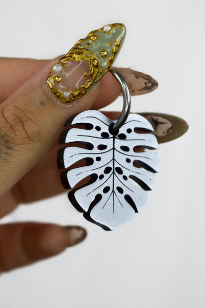 Monstera Deliciosa (Silver)