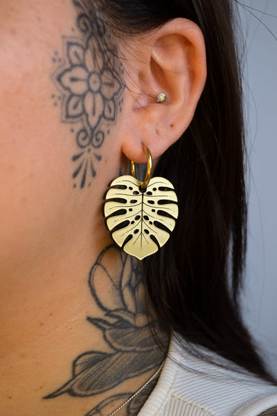 Monstera Deliciosa (Gold)