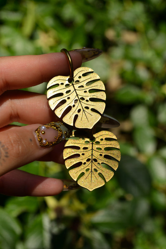 Monstera Deliciosa (Gold)