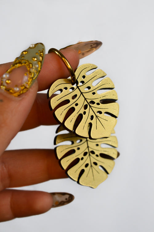 Monstera Deliciosa (Gold)