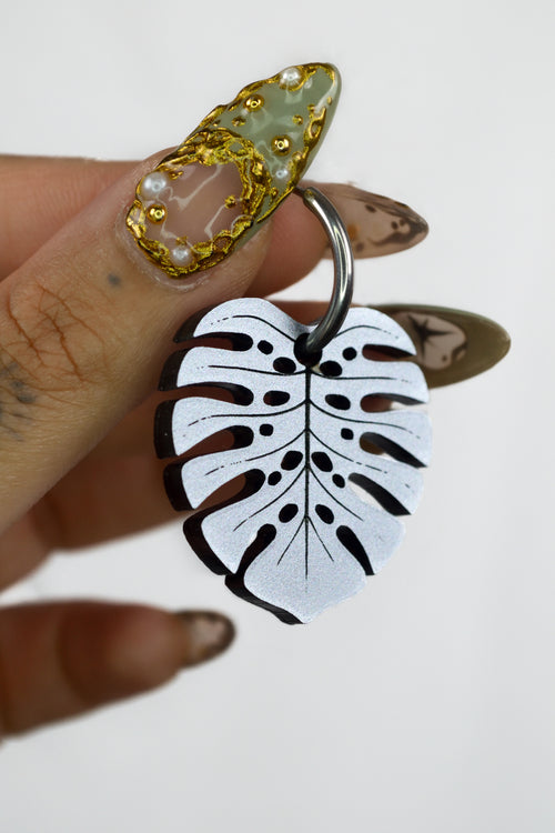 Monstera Deliciosa (Silver)